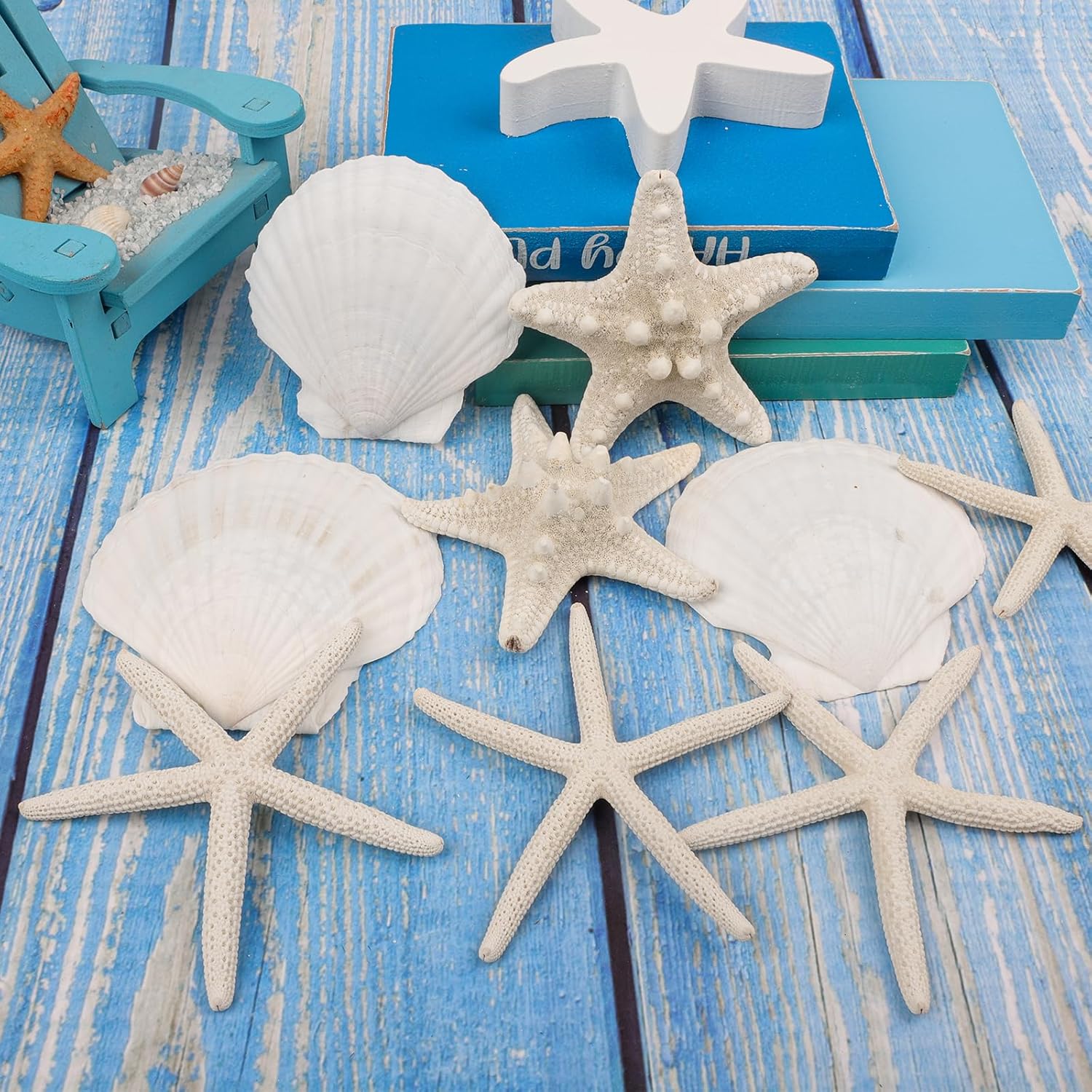 15 PCS Starfish and Scallop Shells, 2"-4" Natural Seashells White Seashells Large Seashells for Crafts Wedding Decor Beach Theme Party, Fish Tank and Vase Filler - Image 4