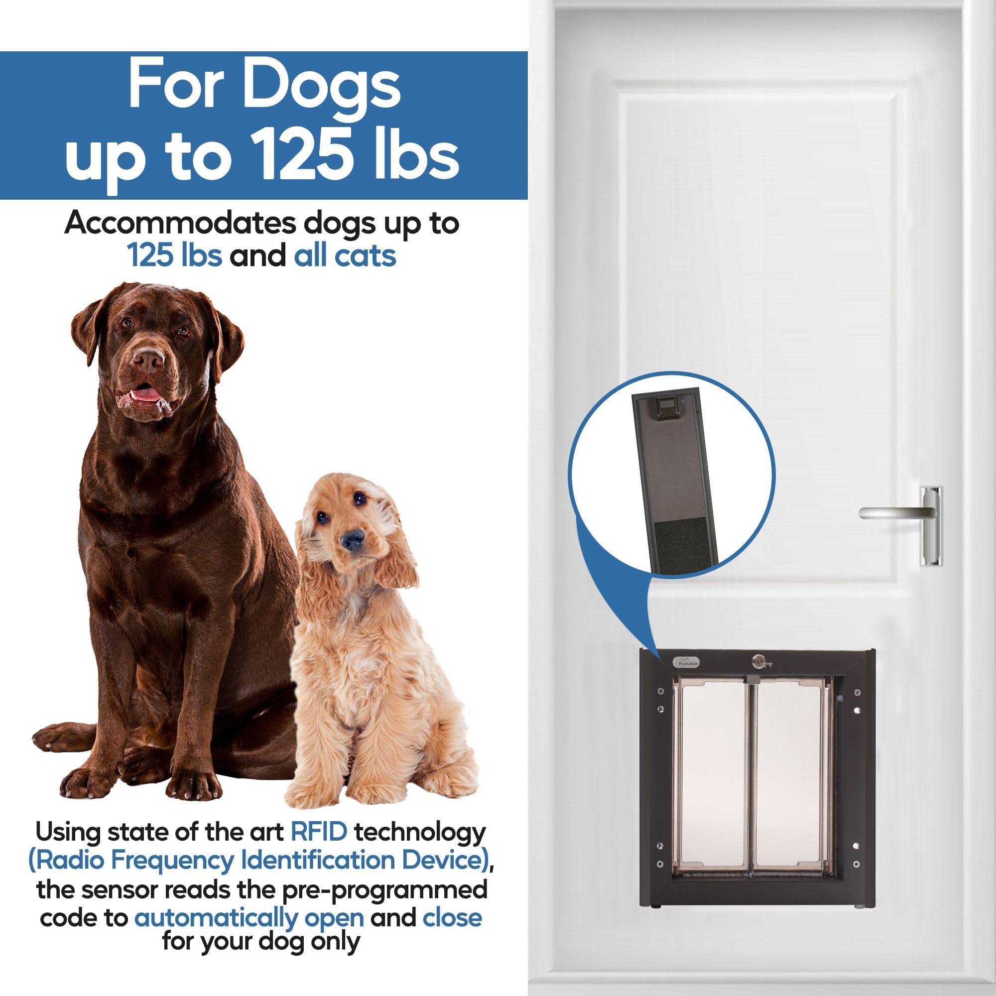 Porta Para Pets PlexiDor - Para Cães E Gatos | Com Trava E Chave | Tamanhos Grandes | Cor Branca