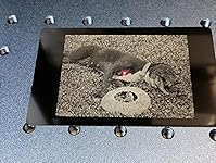 Review Image by Thecrazyone1