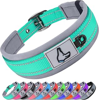 Joytale Neoprene Padded Dog Collar for Large Dogs - Reflective, Adjustable Heavy Duty with Metal Buckle, Teal L (19-23")