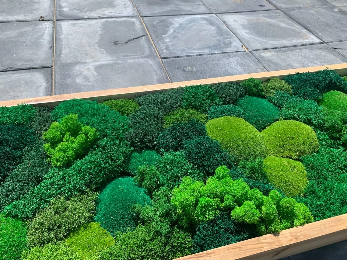Large Moss Art
