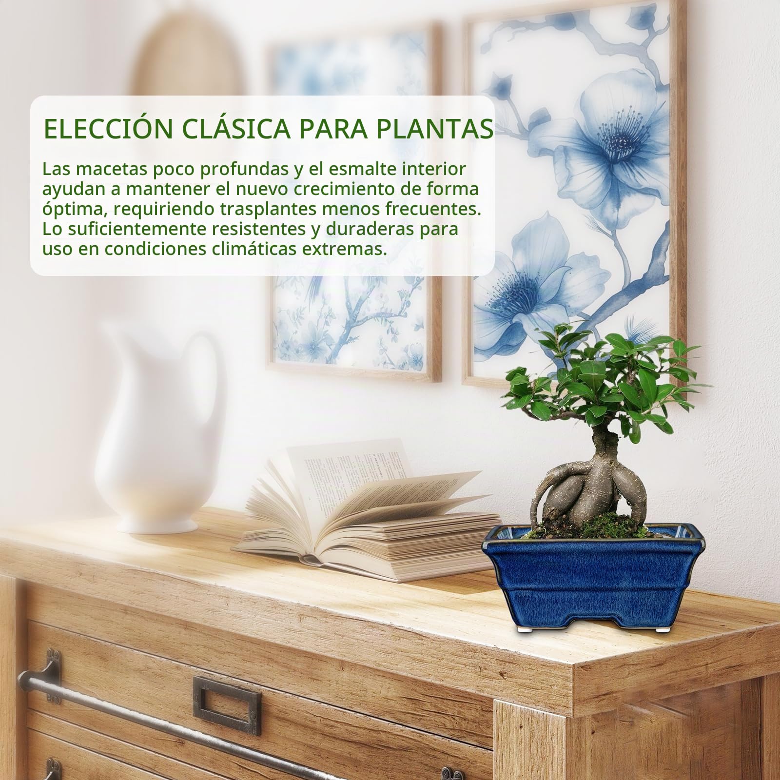 Oairse Juego de 2 macetas para bonsái poco profundas para árboles bonsái vivos, maceta de cerámica de 16 cm para suculentas de interior/exterior con agujero de drenaje, maceta de cactus, maceta azul