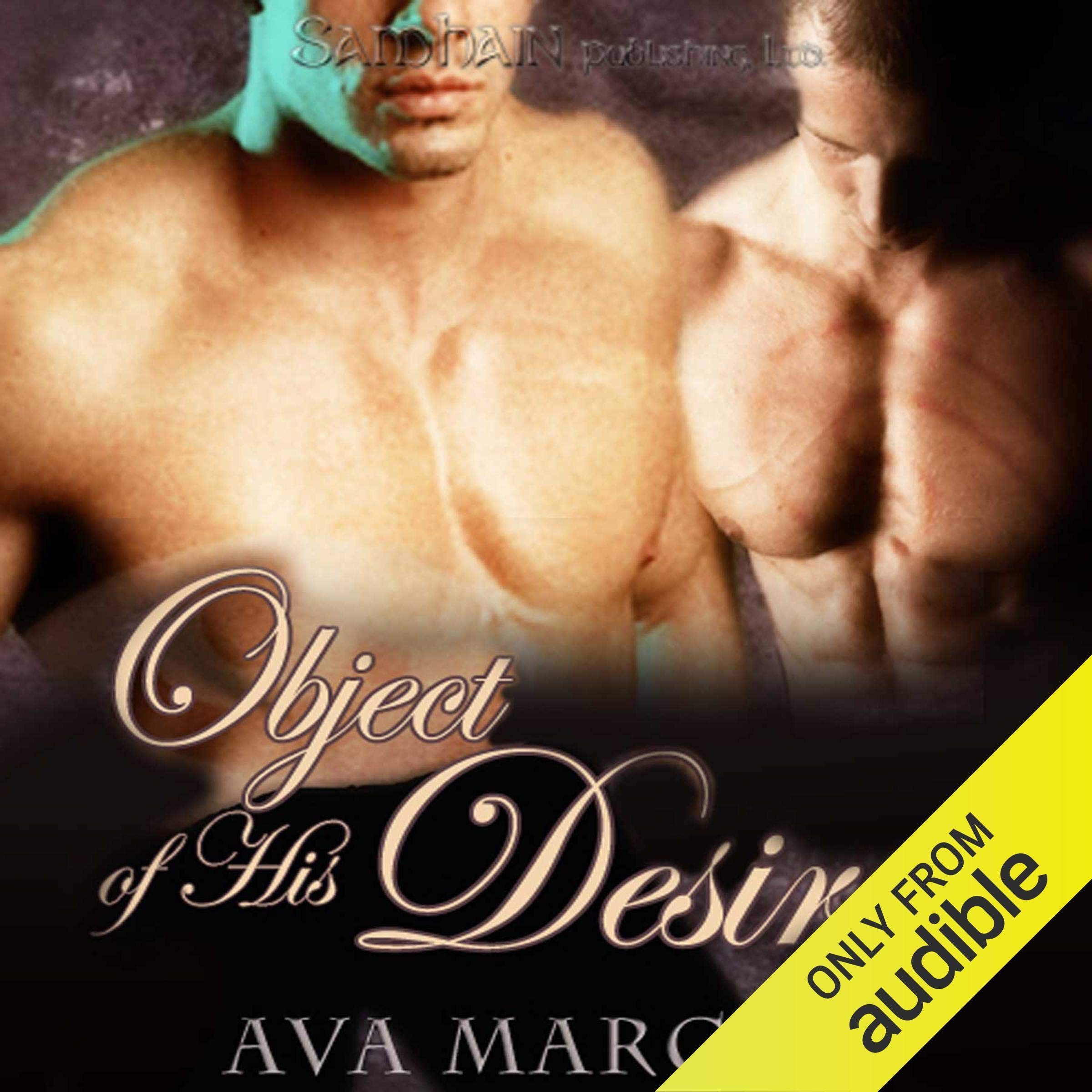 Cover art for Object of His Desire