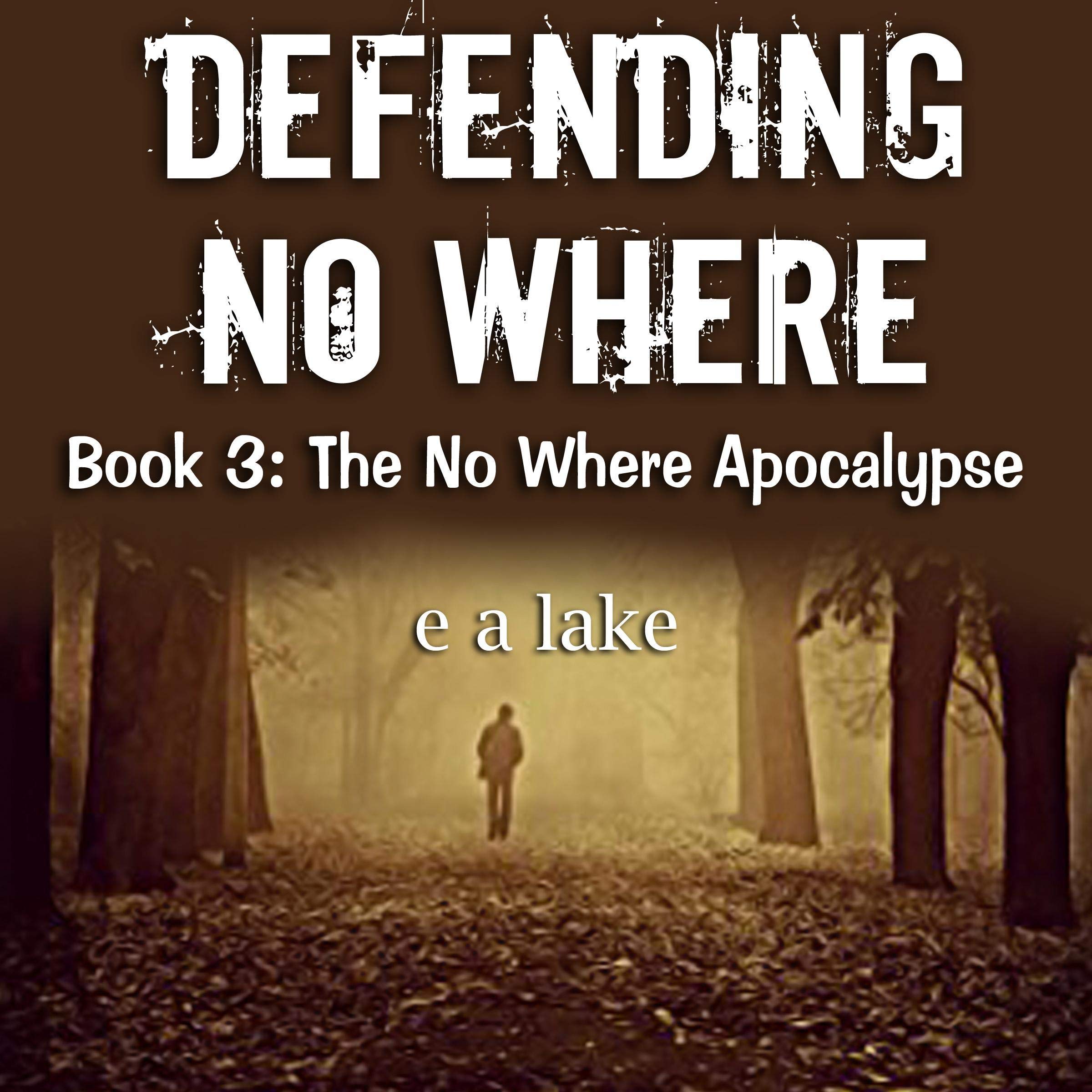Cover art for Defending No Where