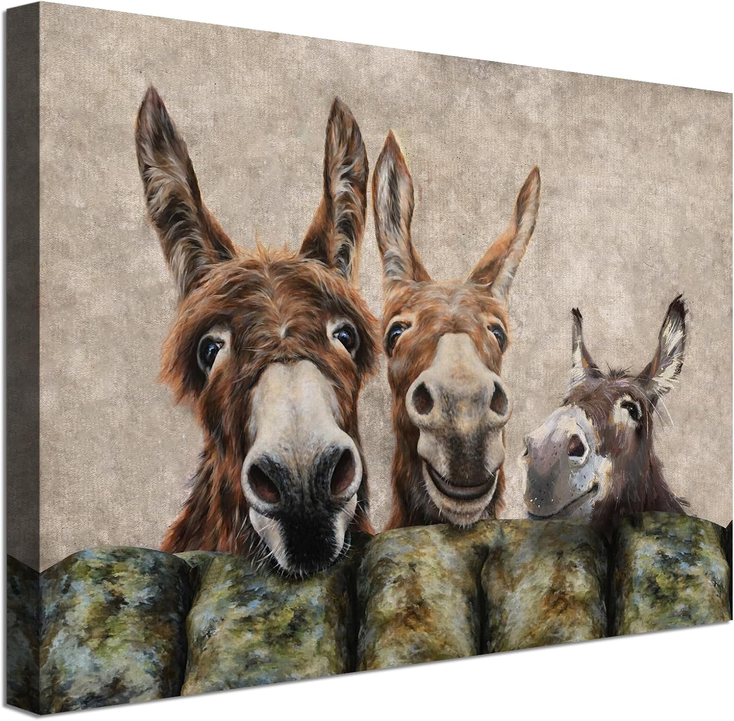 DAZZLING BEAUTY Donkey Wall Art Farmhouse Canvas Prints