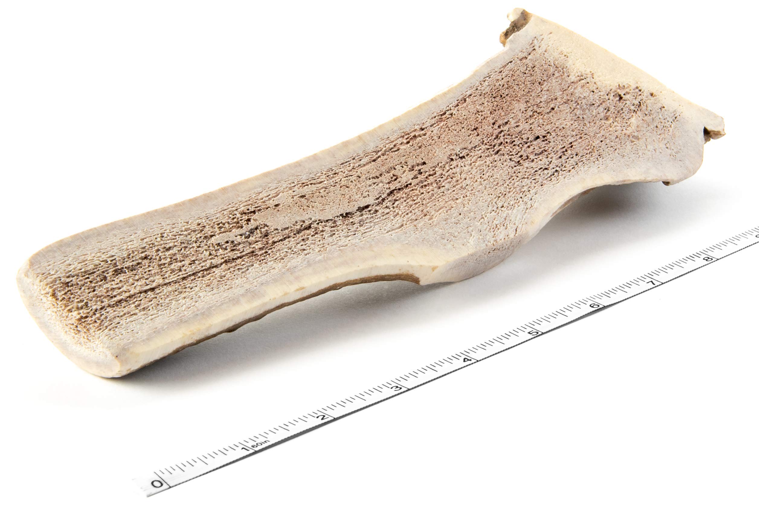 Devil Dog Pet CoSplit Elk Antlers for Dogs, Extra Large 7"+, 1 Pack, Grade A Long Lasting Chew for Aggressive Chewers, Premium USA Naturally Shed Antler – Healthy, No Odor, Durable Dog Chew