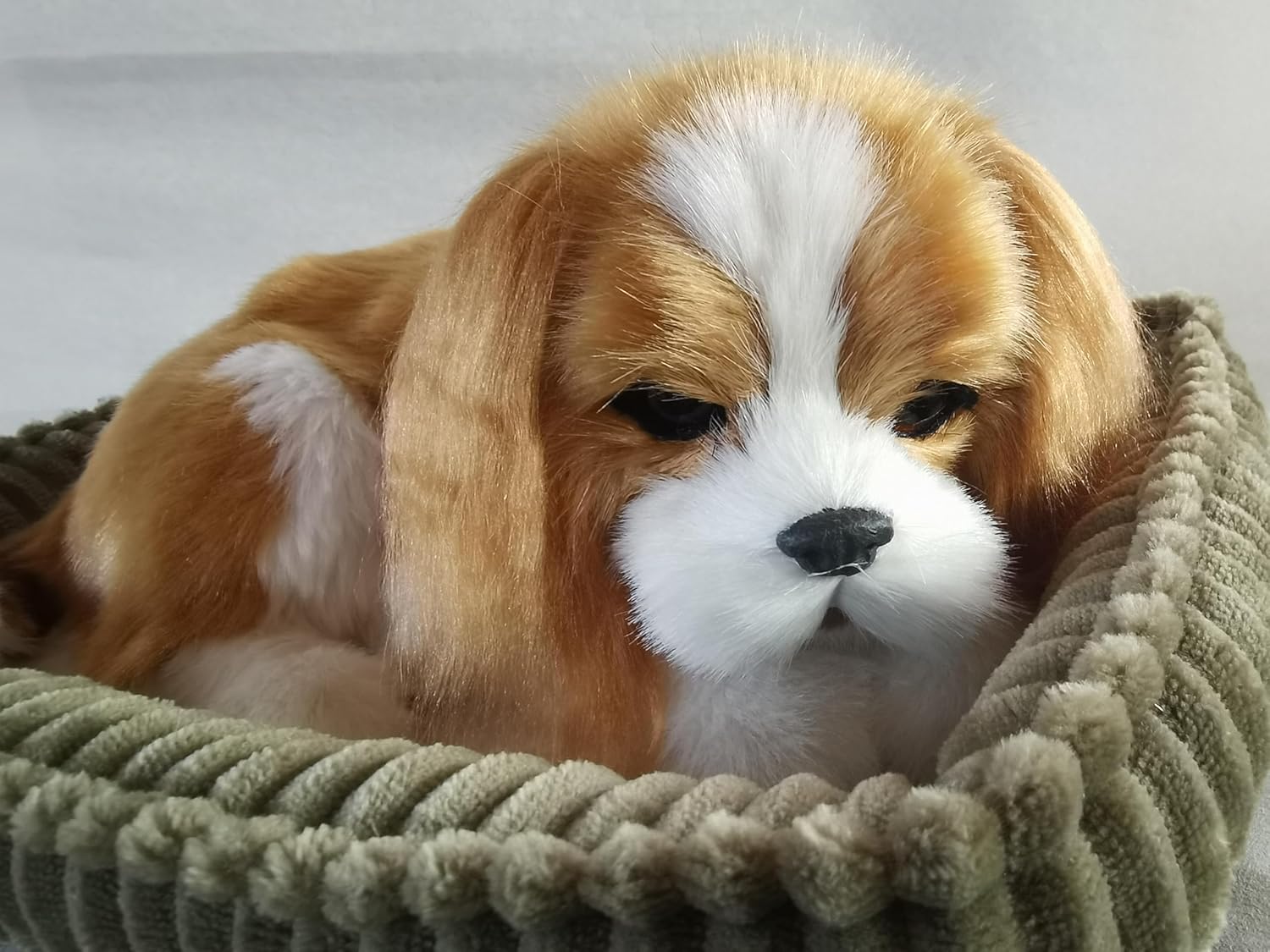 Cavalier King Charles Dog, Realistic, Lifelike Stuffed Interactive Nodding Pet Toy, Companion Pet Puppy with 100% Handcrafted Synthetic Fur