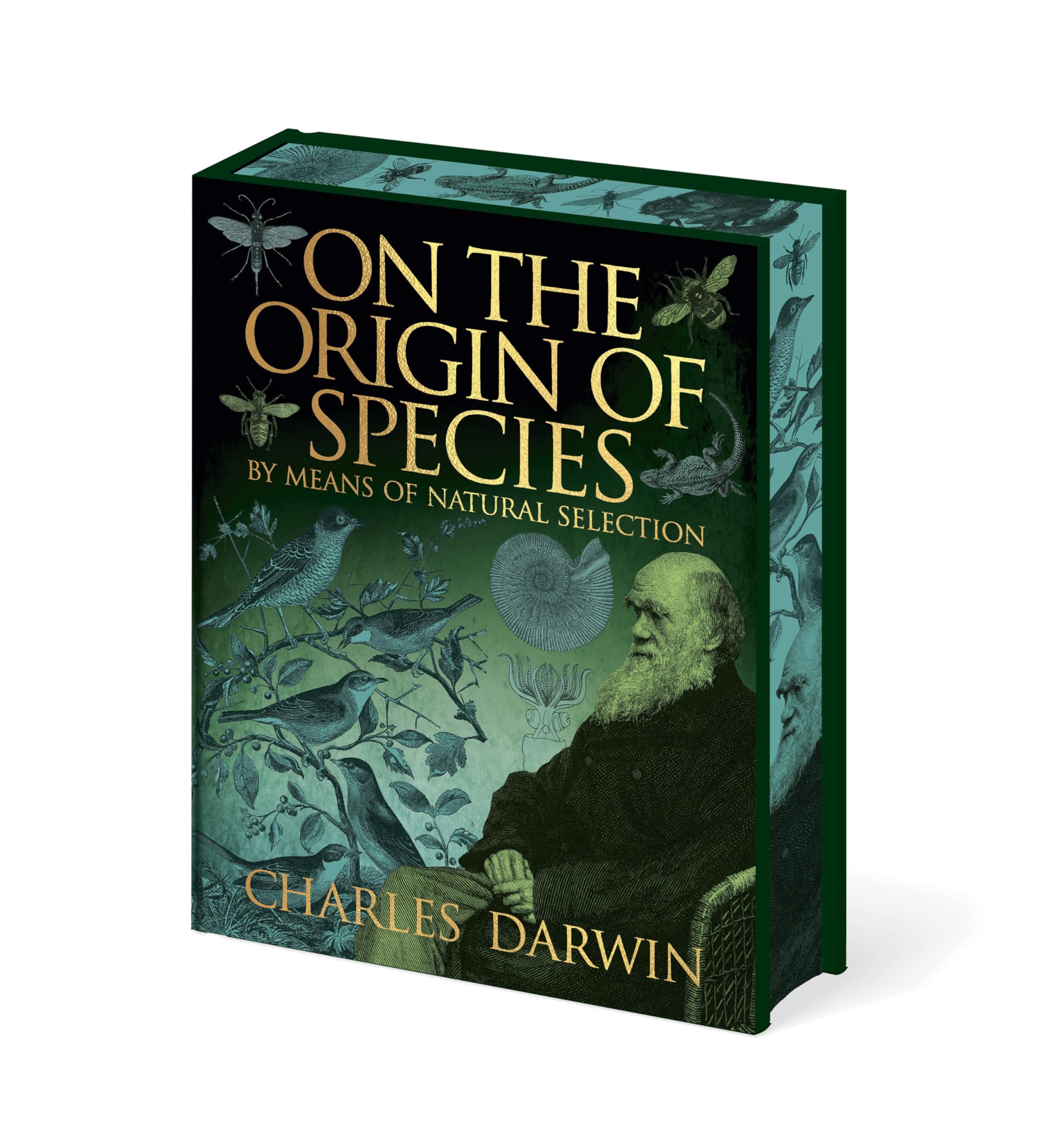 On the Origin of Species (Arcturus Epic Classics) by Charles Darwin (Hardcover)