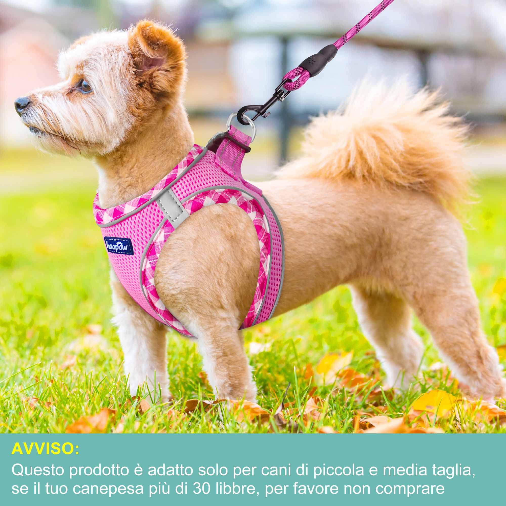 haapaw Pettorina per cani e guinzaglio, senza tirare, regolabile, riflettente Step-in, pettorina imbottita ispessita, per cani extra piccoli/piccoli e medi