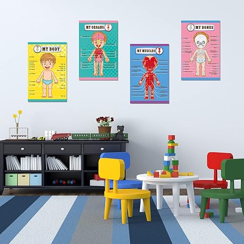 Miniatura 6 de Outus Carteles educativos de aprendizaje del cuerpo humano, parte del cuerpo, tabla de pared de 22 x 17 pulgadas para niños, tabla de anatomía de