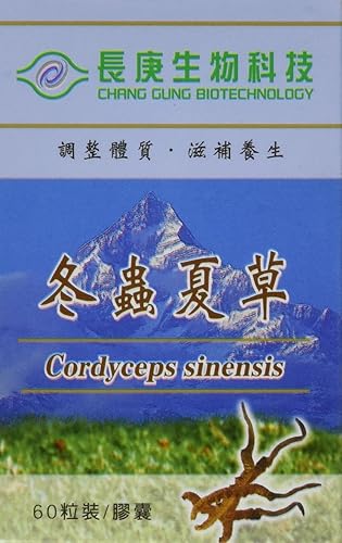 Cordyceps Sinensis Cápsulas  Certificado SGS, certificado cGMP, garantía auténtica, 99.6% de ADNr probado genuino  60 cápsulas por botella, 350 mg