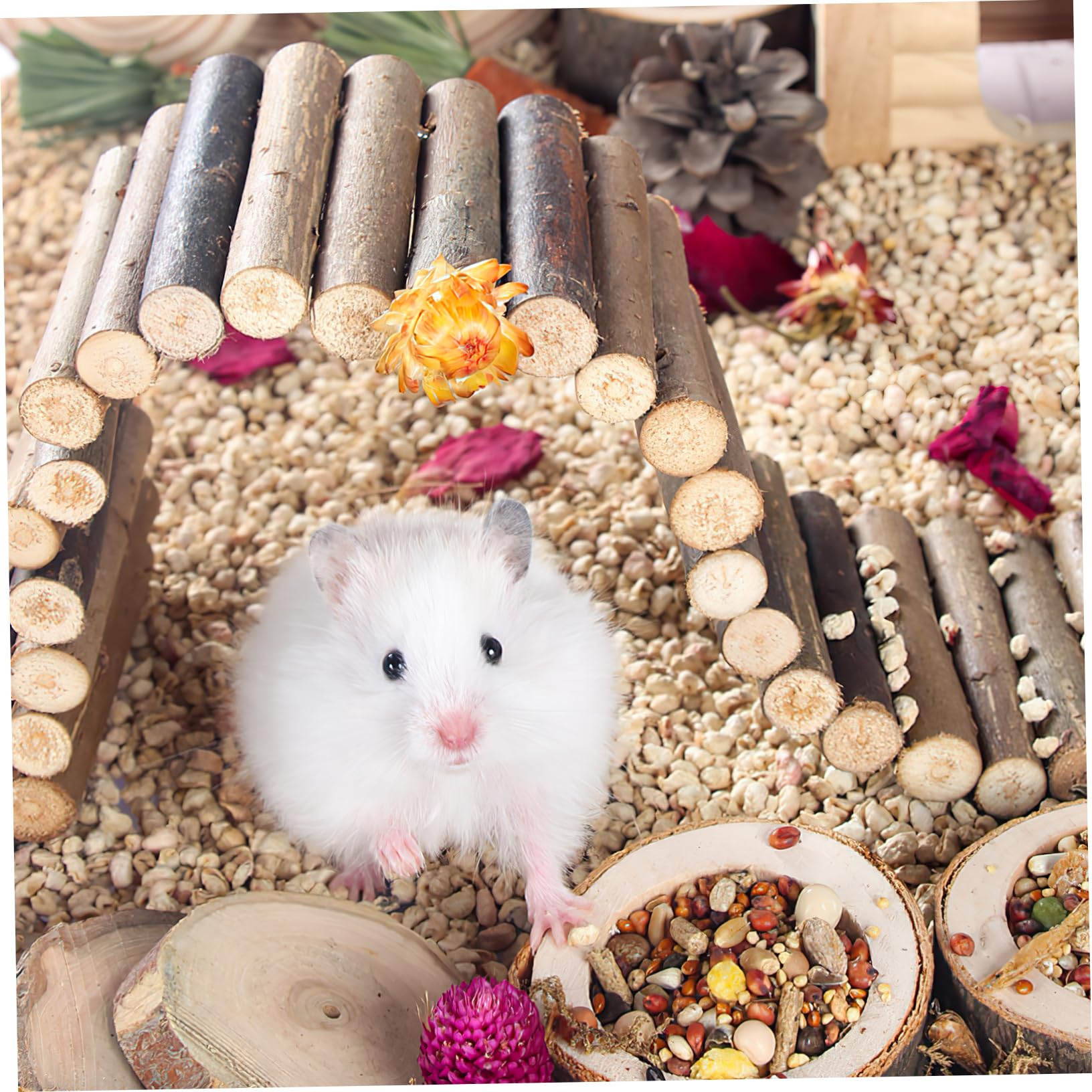BELLIFFY Wooden Ladder Toy for Hamsters Hamster Bridge Stairs 7cm x 55cm Safe Chewing Toy