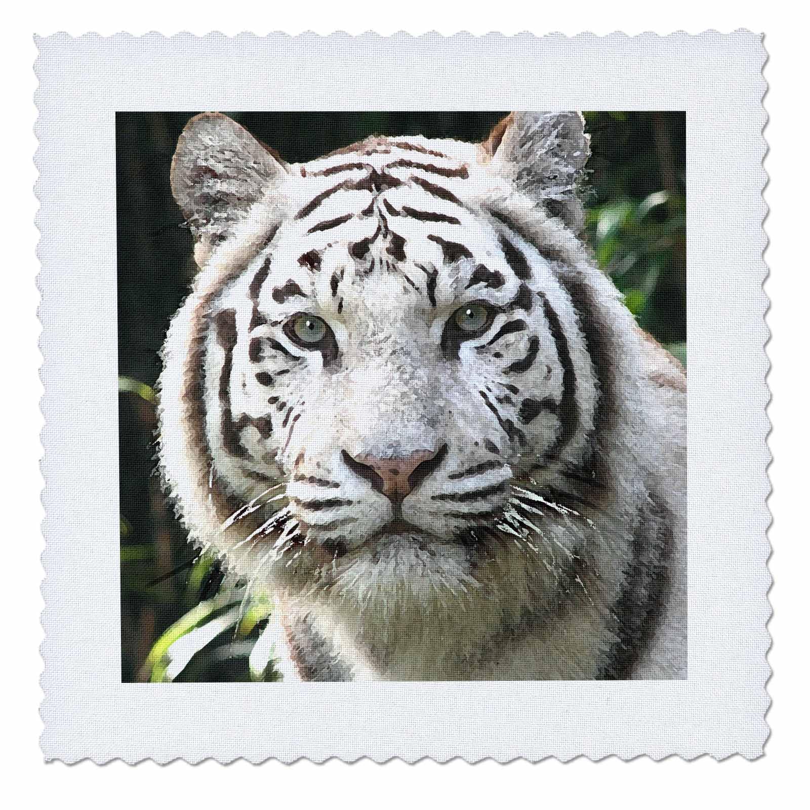 14x14 inch Quilt Square - White Tiger Tigers