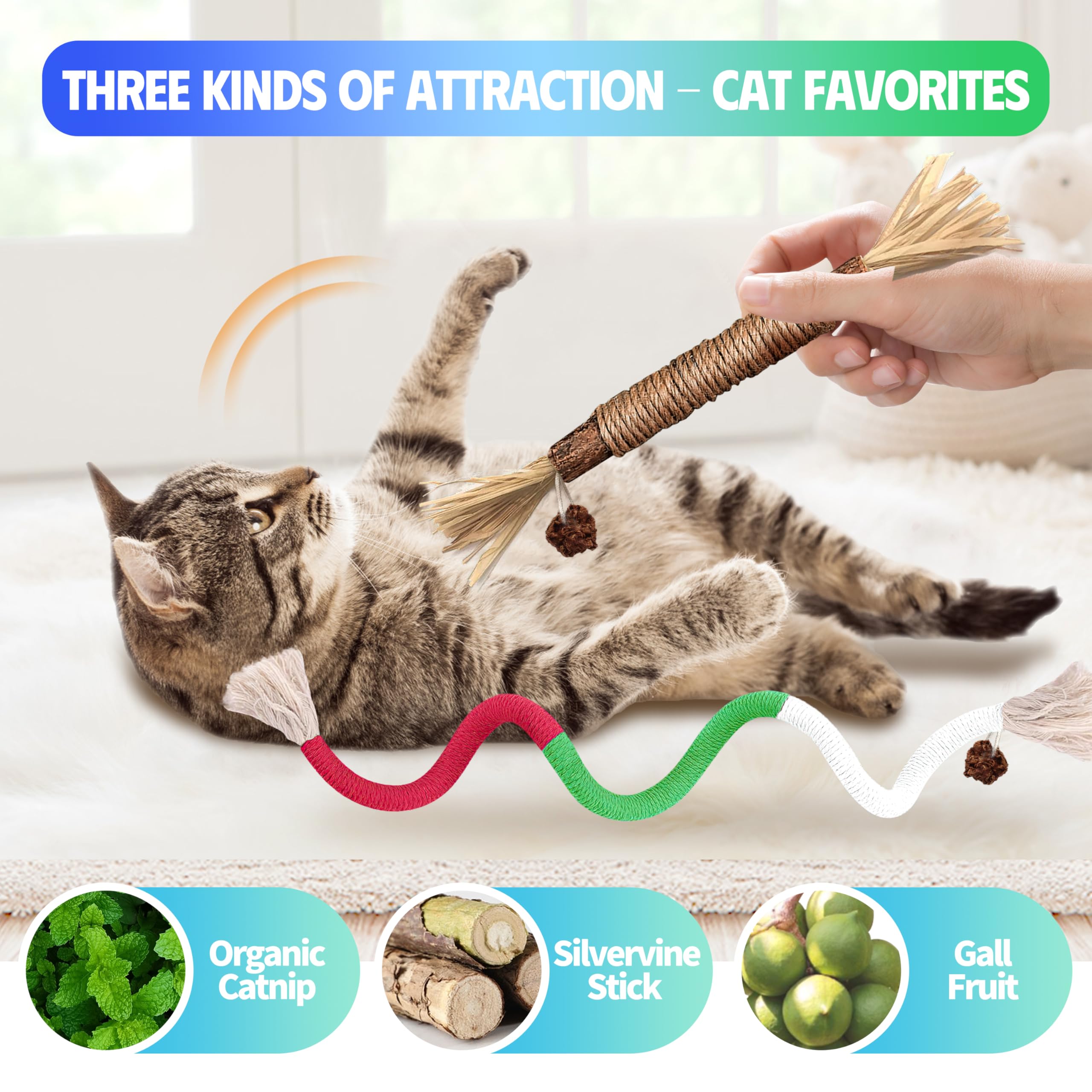 GBSYU Cat Toys Chew Rope & Silvervine Sticks for Bored Indoor Adult Cats, 4Pcs Interactive Catnip Toys for Cats with Refillable Natural Catnip Bag for Teeth Cleaning