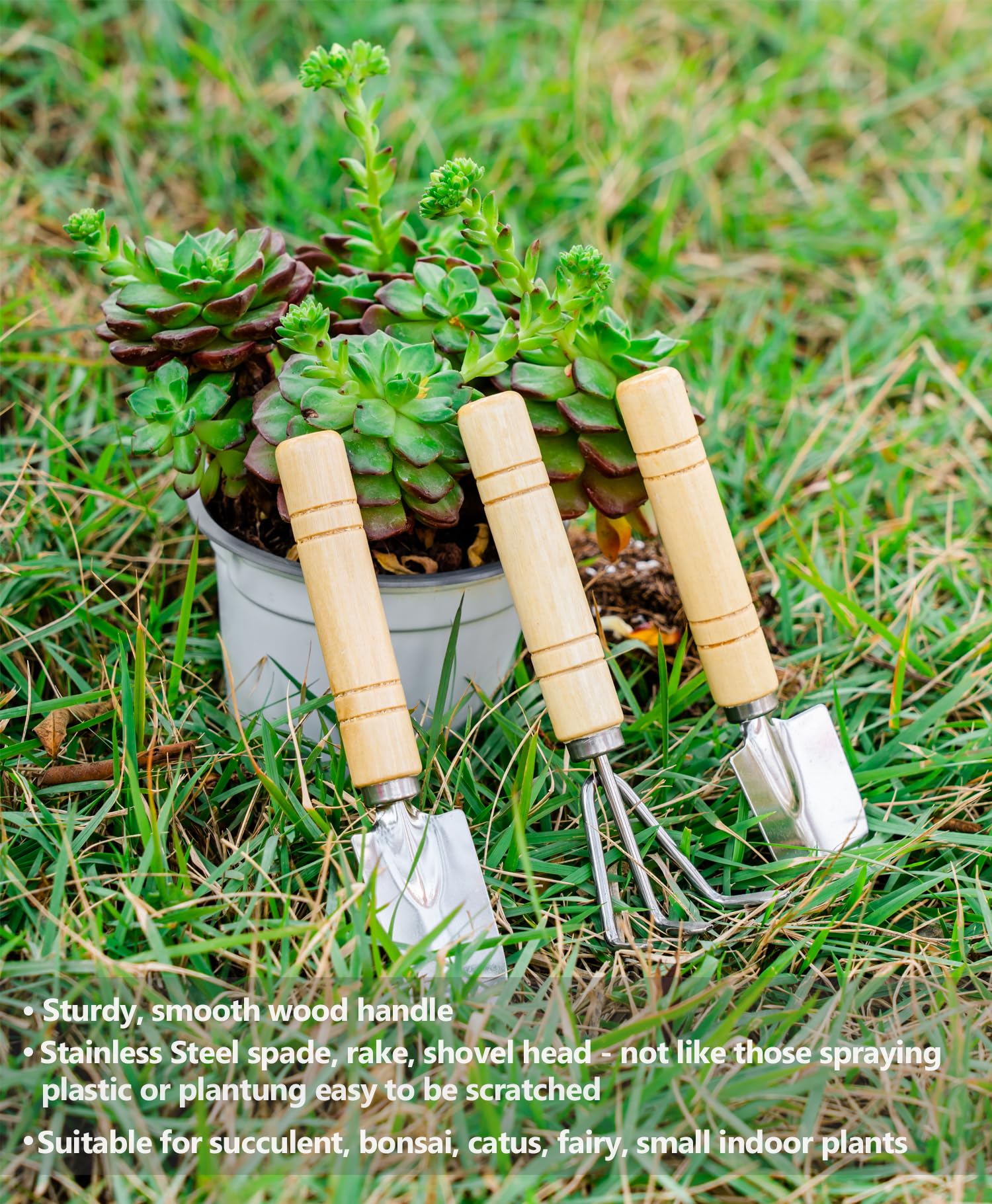 Josteve Pflanzen-Umbaumatte, 5 Stück, Sukkulenten-Gartengeräte, kleine Indoor-Gartengeräte, Gartenschere, Hand-Set für Bonsai, Kaktus, Fee