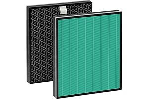 Coway 250 Filter: Breathe Easy with Crisp, Clean Air