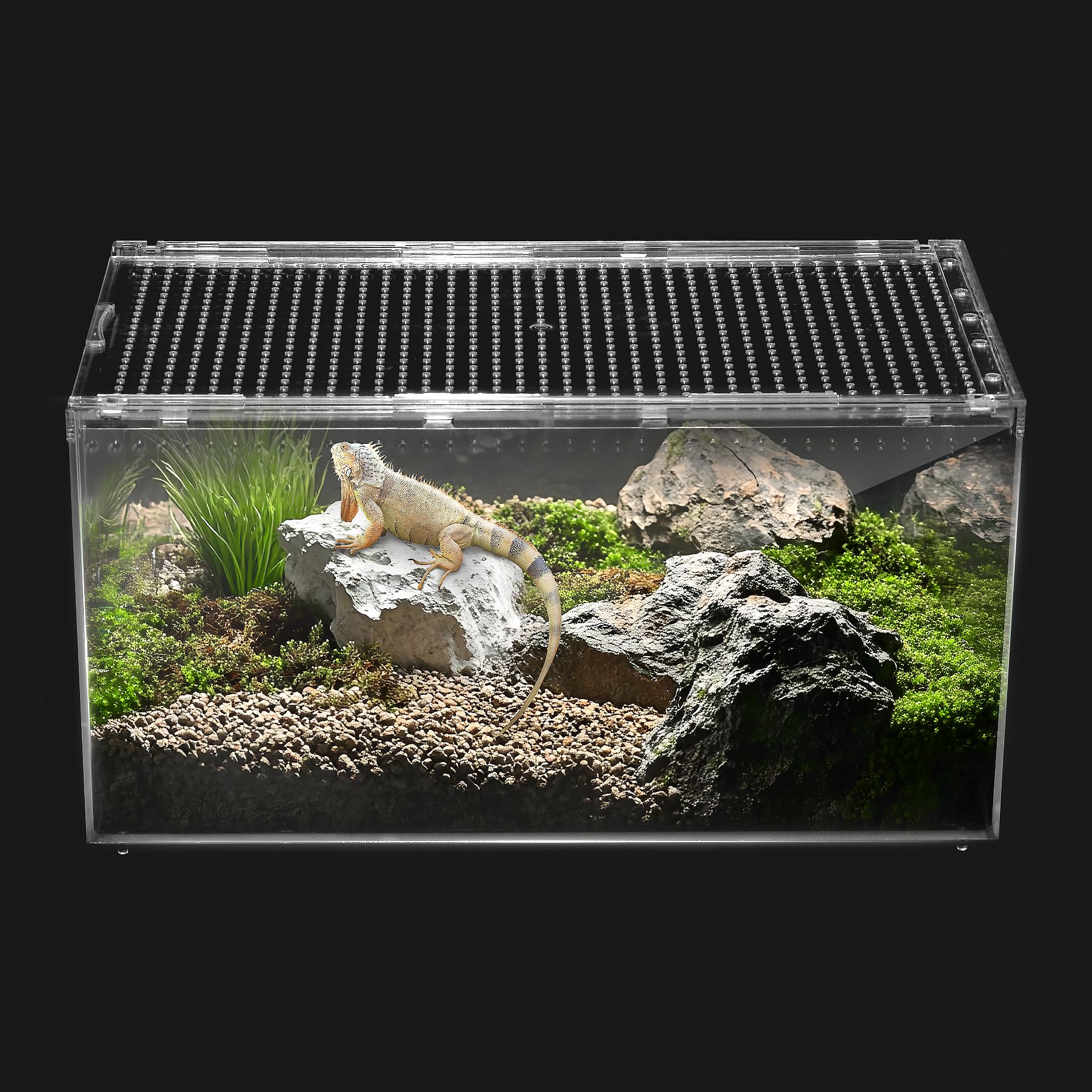 Clioran Reptile PC Terrarium,Tarantula Enclosure,Spider Tank Starter Kit,Leopard Gecko Container,Hermit Crab Habitat,Lizard Enclosure,Insect Housing,