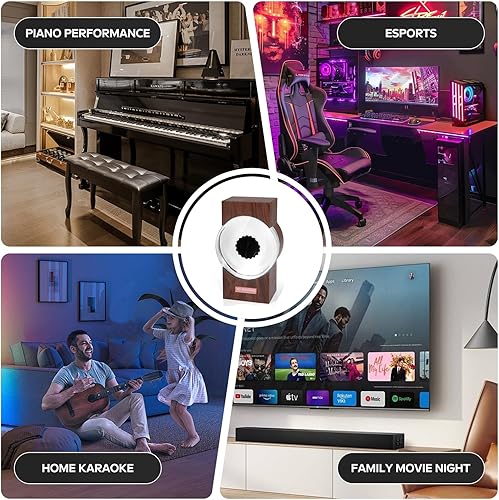 Miniatura 5 de Visualizador ferrofluido, ferrofluido bailando con ritmo, altavoz de música fluido magnético mate decoración de escritorio, un regalo retro amigos