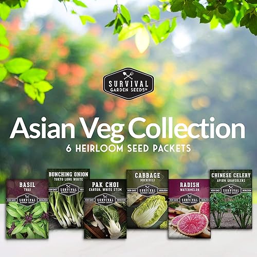 Miniatura 2 de Survival Garden Seeds - Bóveda de semillas asiáticas de recolección de verduras para plantar - Albahaca tailandesa, repollo napa, cantón pak choi,