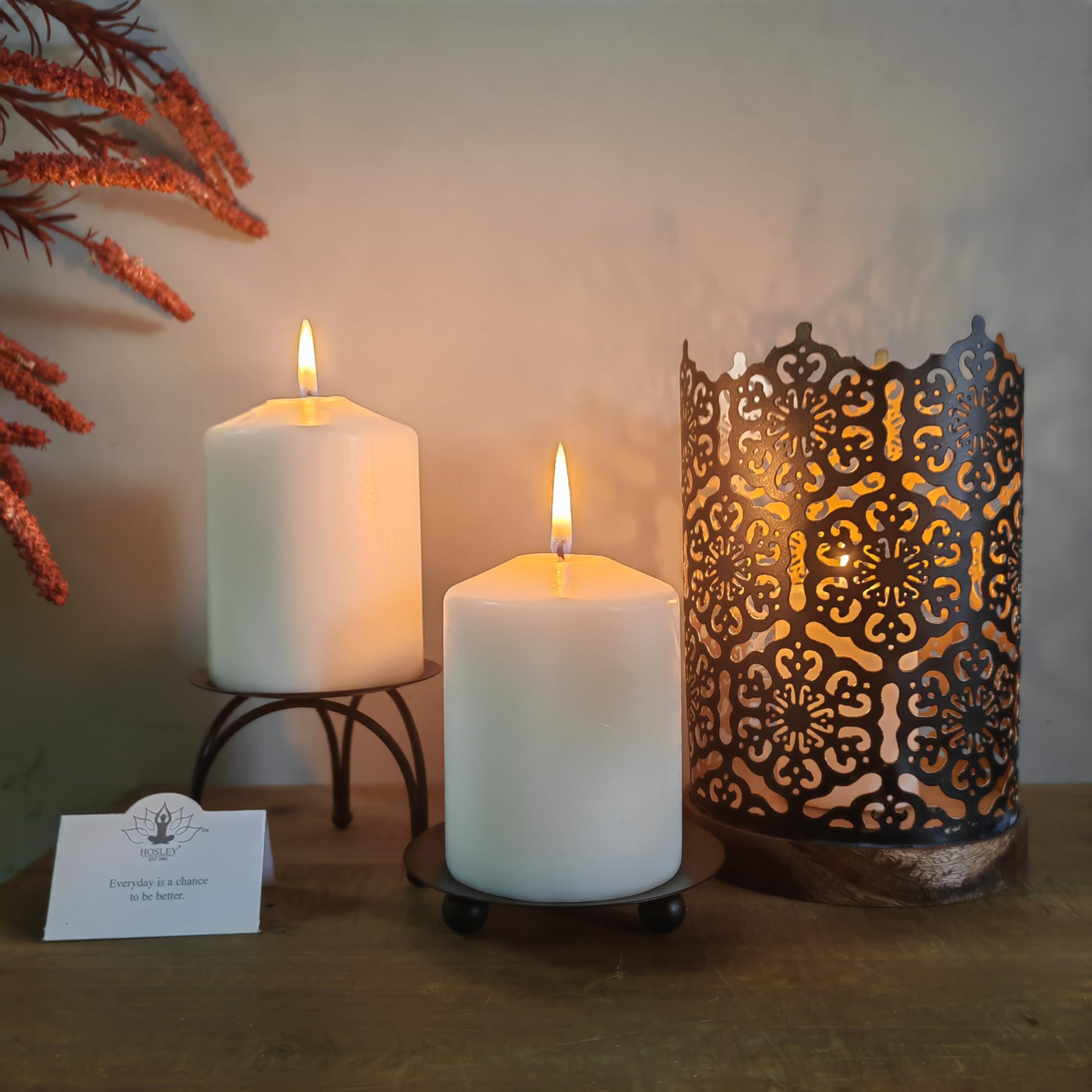 Amazon.co.jp: Hosley 4 