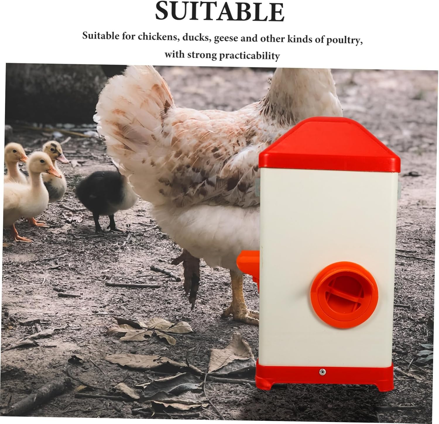 Poultry Feeding Holder Durable Chicken Feeder for Multiple Poultry Easy to Clean Automatic Food Container for Home Professional Use