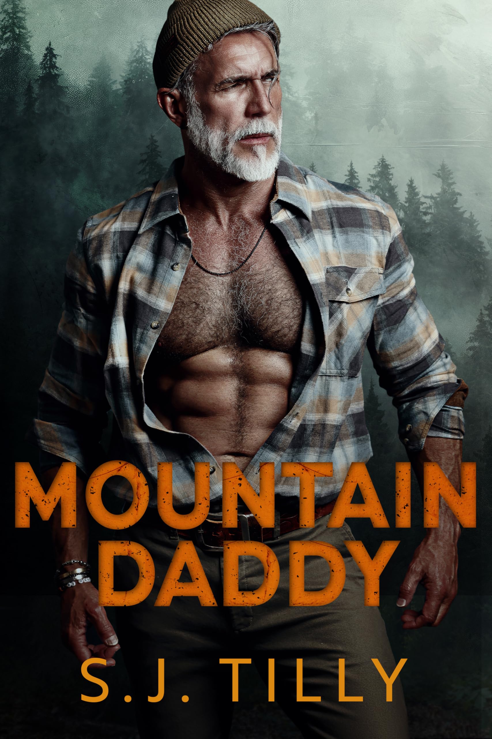 Image de couverture de Mountain Daddy par S.J. Tilly