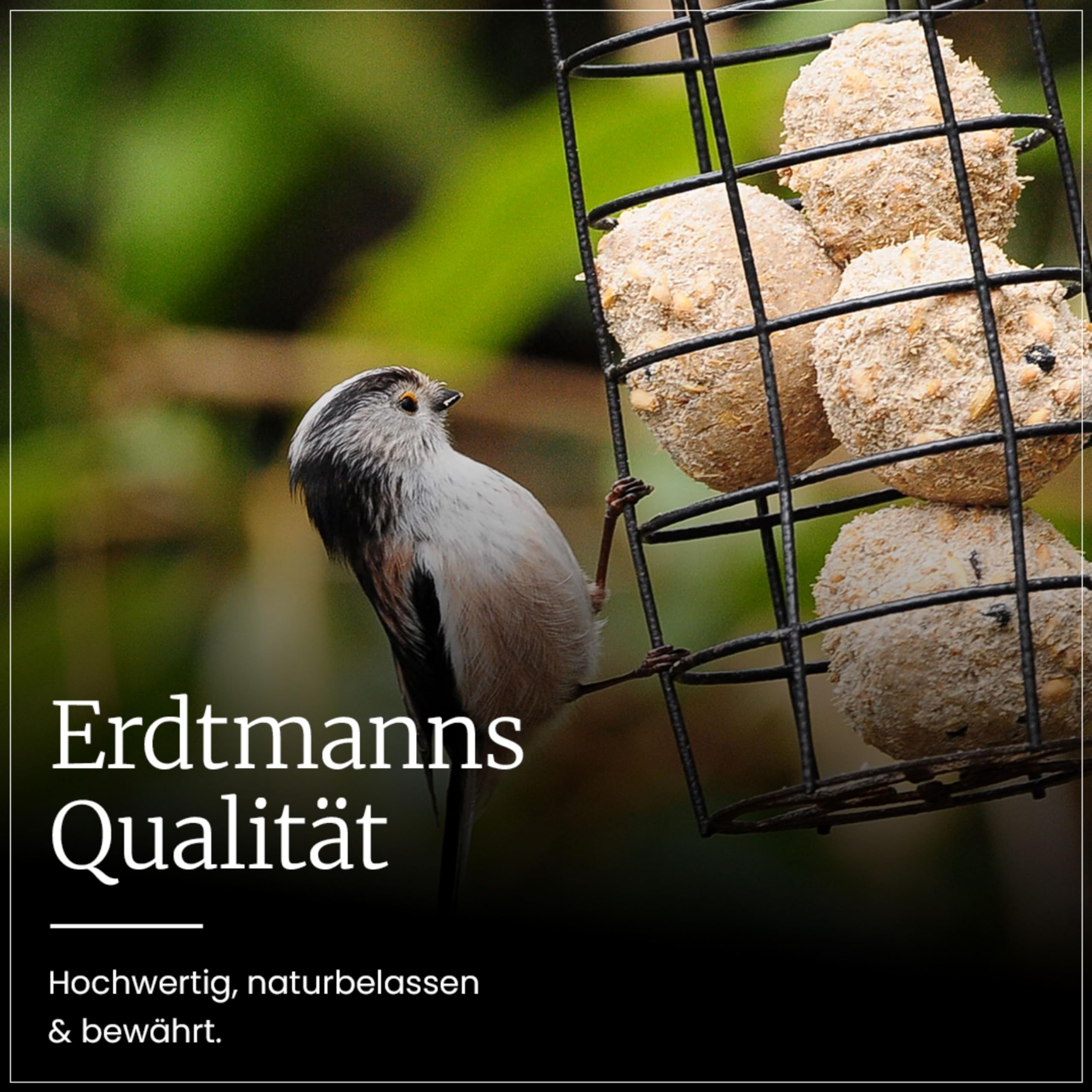 Erdtmanns Sommer-Meisenknödel XXL ohne Netz, 12 x 500 g – Riesige Wildvogelfutter-Knödel für den Sommer – Umweltfreundlich & energiereich – Ideal für Brutzeit & Jungvögel