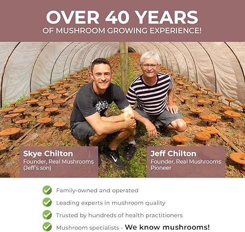 Miniatura 6 de Real Mushrooms RealBoost (60 unidades) y Chaga (120 unidades) - Suplemento de hongos para energía, vitalidad y digestión - Vitaminas energéticas con