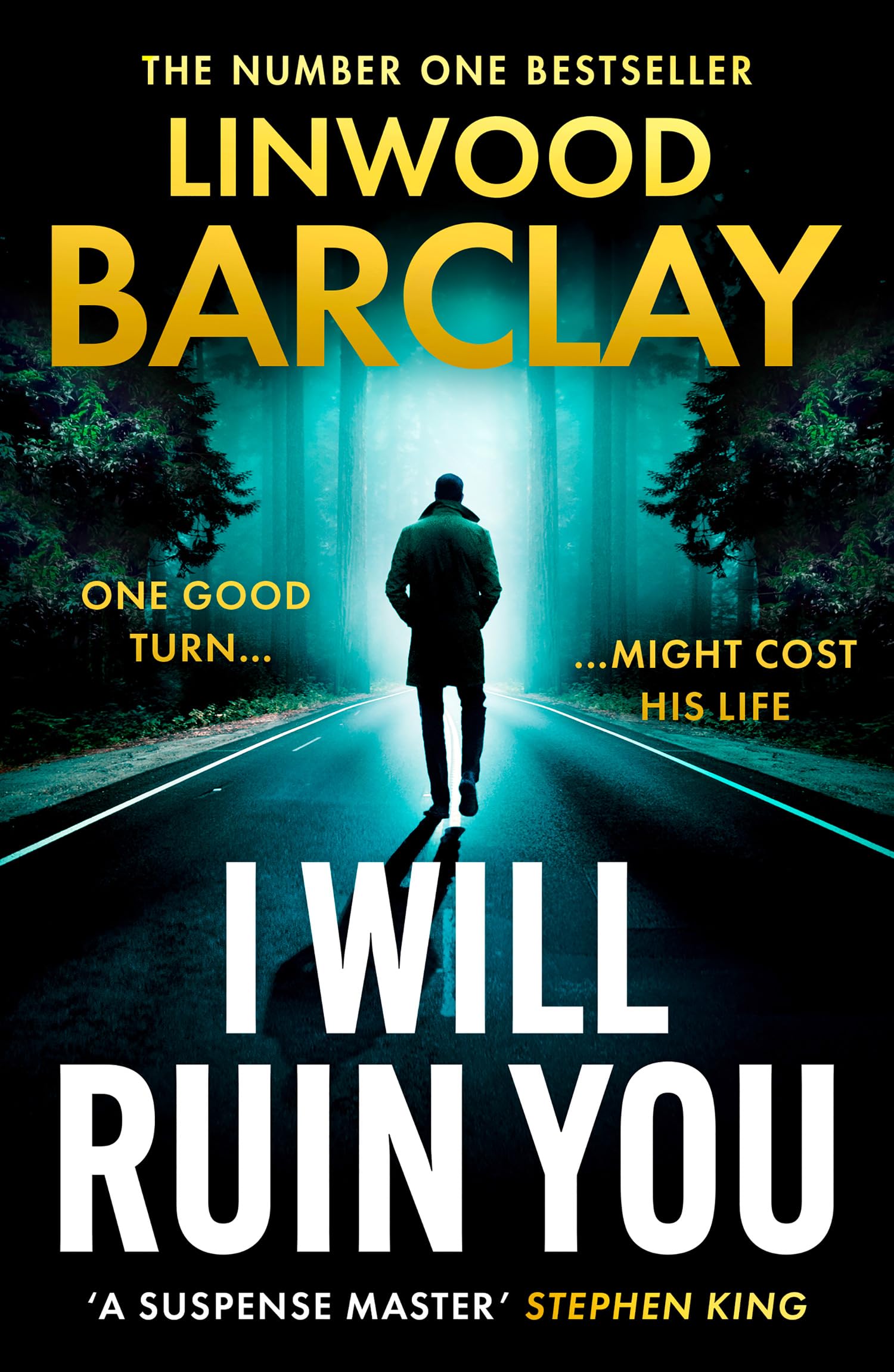 I Will Ruin You: An addictive gripping psychological suspense crime thriller from the Sunday Times bestselling author, the perfect must-read for fans of James Patterson in 2026!