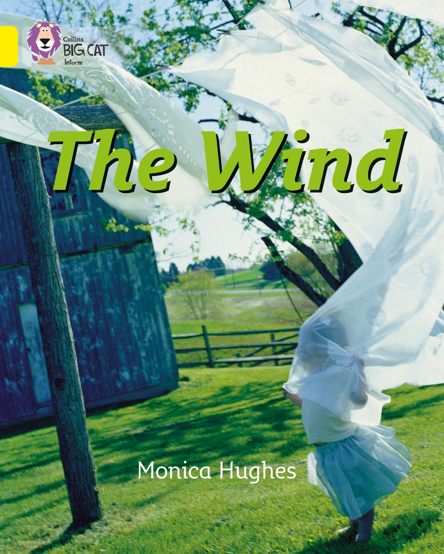 The Wind: This non-chronological report shows how and what the wind can blow.
