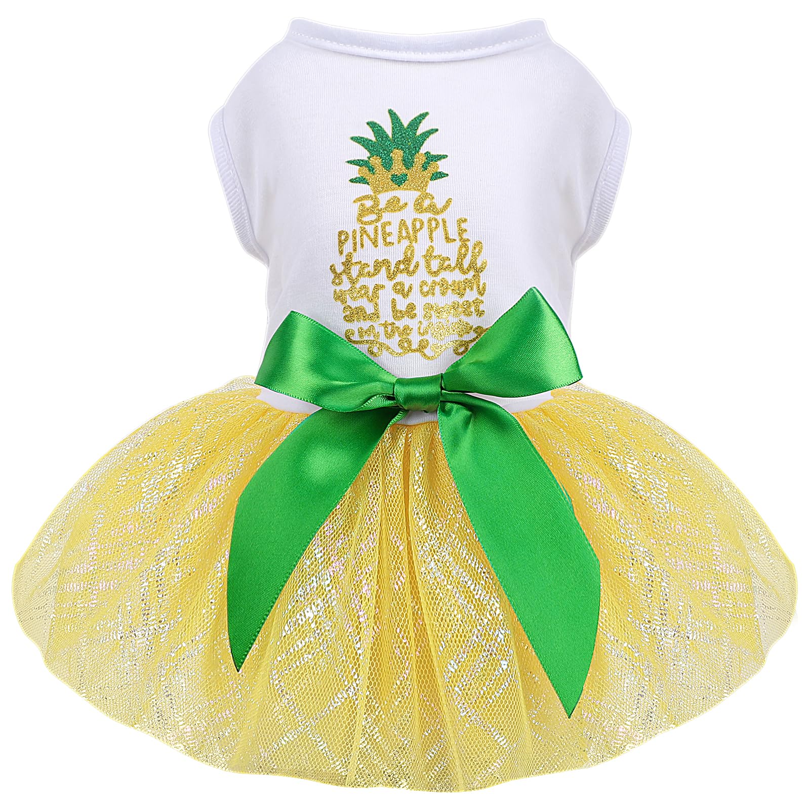 Dog Dress for Spring Summer, Small Dogs Girl Skirt Female Puppy Dresses Pet Yorkie Chihuahua Tulle Dress?Birthday Party Lace Costume Tutu Apparel