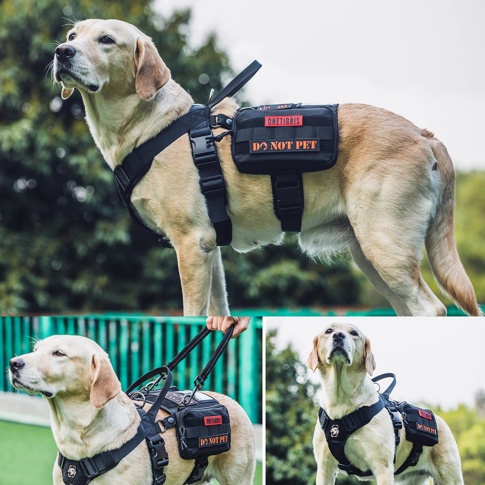 OneTigris Guardian Harnais pour Chien avec 3 Anneaux en D en Acier Inoxydable et Poche de Grande capacité, Sangle de Poitrine avec Rembourrage Confortable et Poche d'identité Transparente - Noir