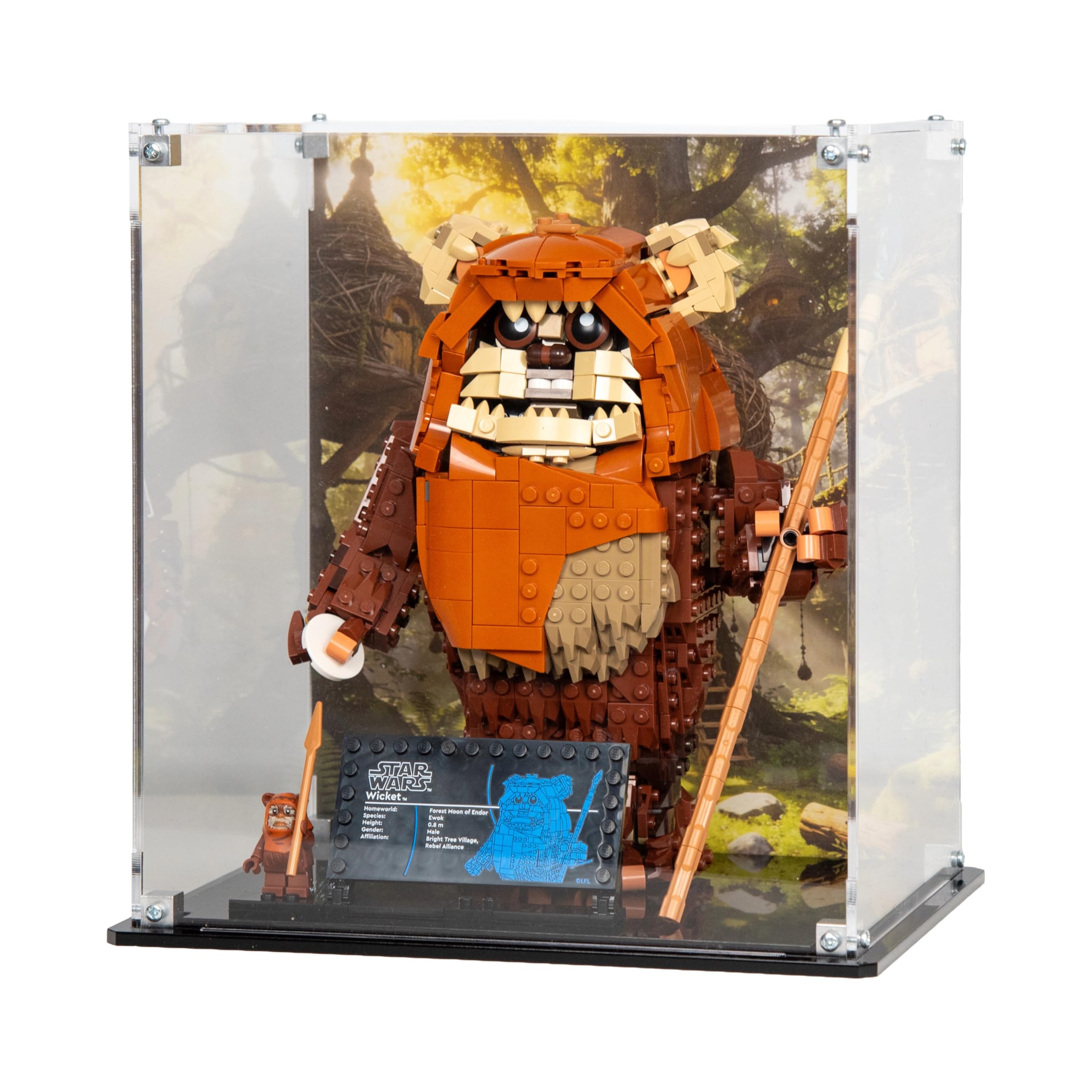 Acrylic Display Case compatible with LEGO® Wicket the Ewok (75430) (Printed Back Panel)