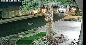 Review Image by Coy L. Pickens