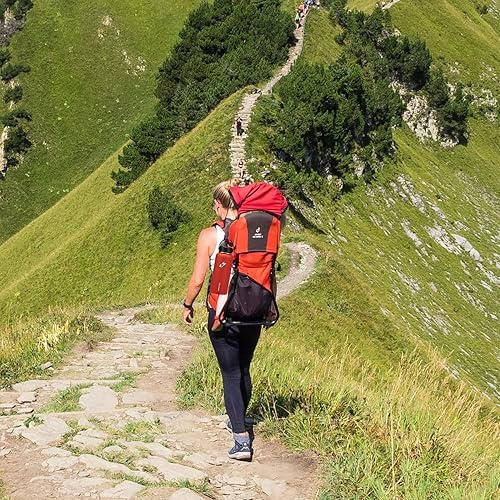 Miniatura 8 de Hydro Energy Paquete de 6 popotes de repuesto de 9.5 pulgadas para botella de agua de boca ancha Hydro Flask, 6 popotes y 2 cepillos para popotes