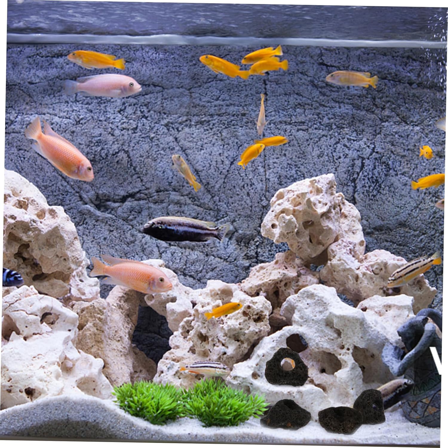 DOITOOL 30pcs Volcanic Rock Fish Tank Habitat Natural Stone Shelter for Aquatic Pets for Hiding Breeding and Playing Easy to Clean Aquarium Landscape Decor