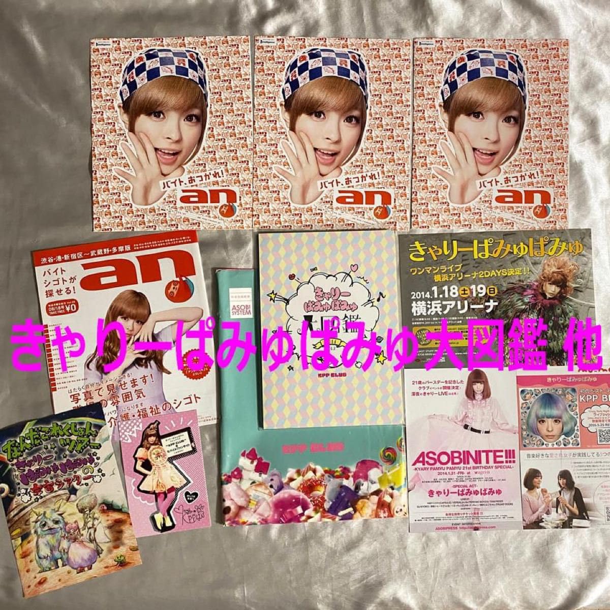 Amazon.co.jp: 2014年きゃりーぱみゅぱみゅ大図鑑他 きゃりー