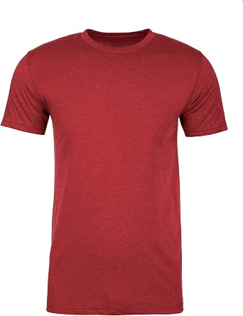 Next Level Apparel Mens N6210