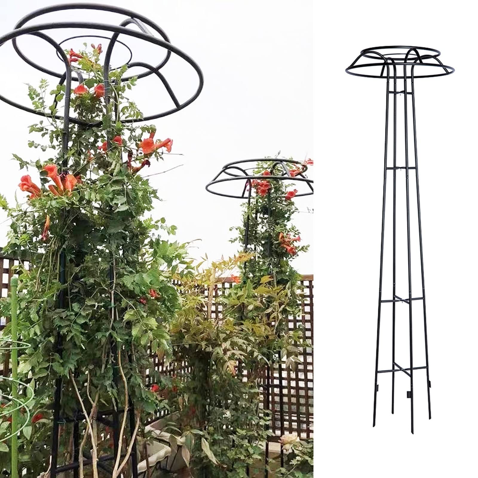 Fascia Per Piante Rampicanti OwnGrown - 50 Metri Nero, Resistente Alle Intemperie | Per Pomodori, Rose E Piante Da Interno - Foto 6