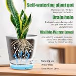 6 Pots de plantes avec réservoir transparent 7/6.5/6/5.5/5/4 pouce Planteurs auto-arroseurs pour les plantes intérieures Niveau d'eau visible Pots à fleurs Rope et trous de drainage pour jardin d'habitation (blanc)