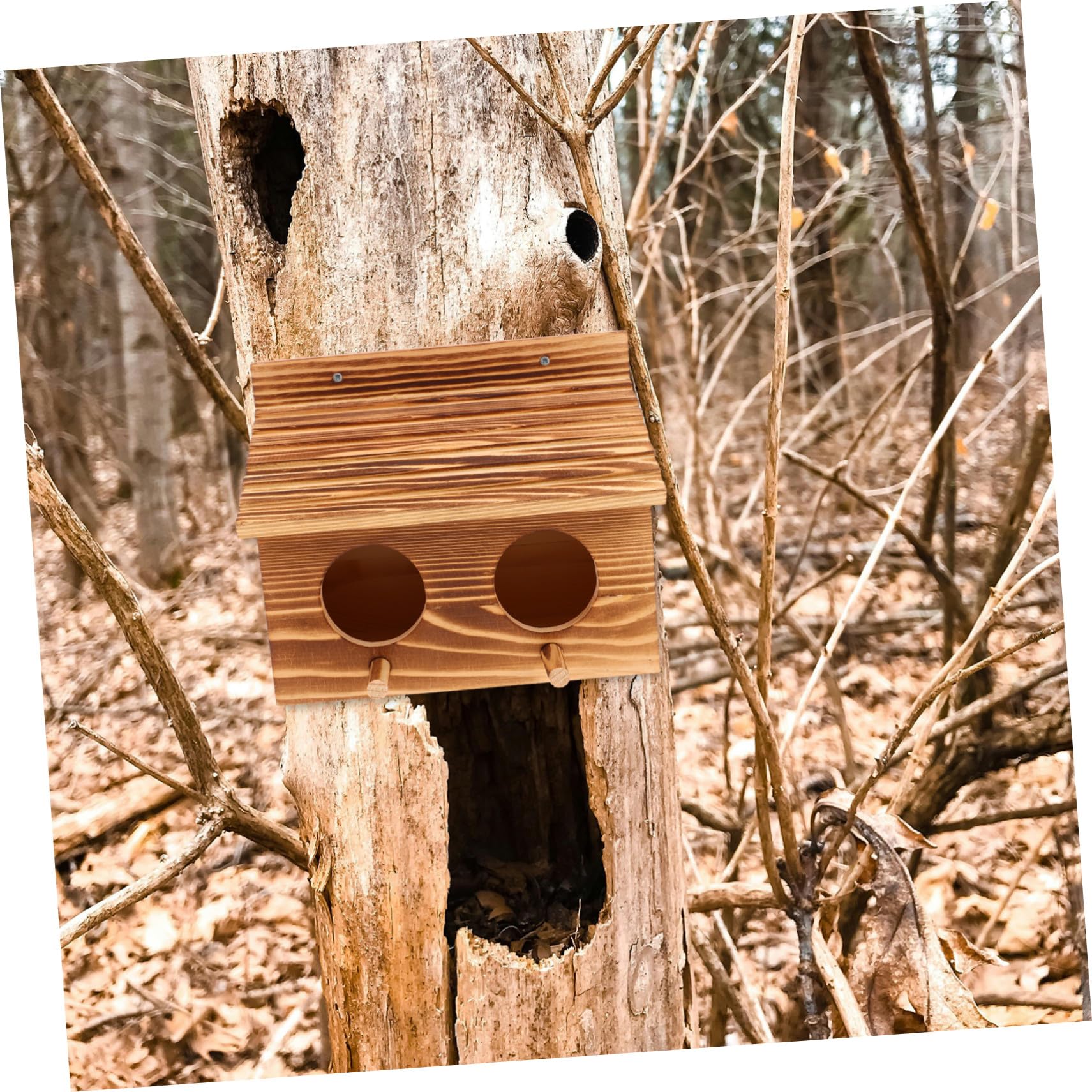 Nichoir Élevage Oiseaux Massif Double Entrée avec Perchoirs Nichoir Perroquet Extérieur pour Conure et Abri Naturel Compact pour Jardin