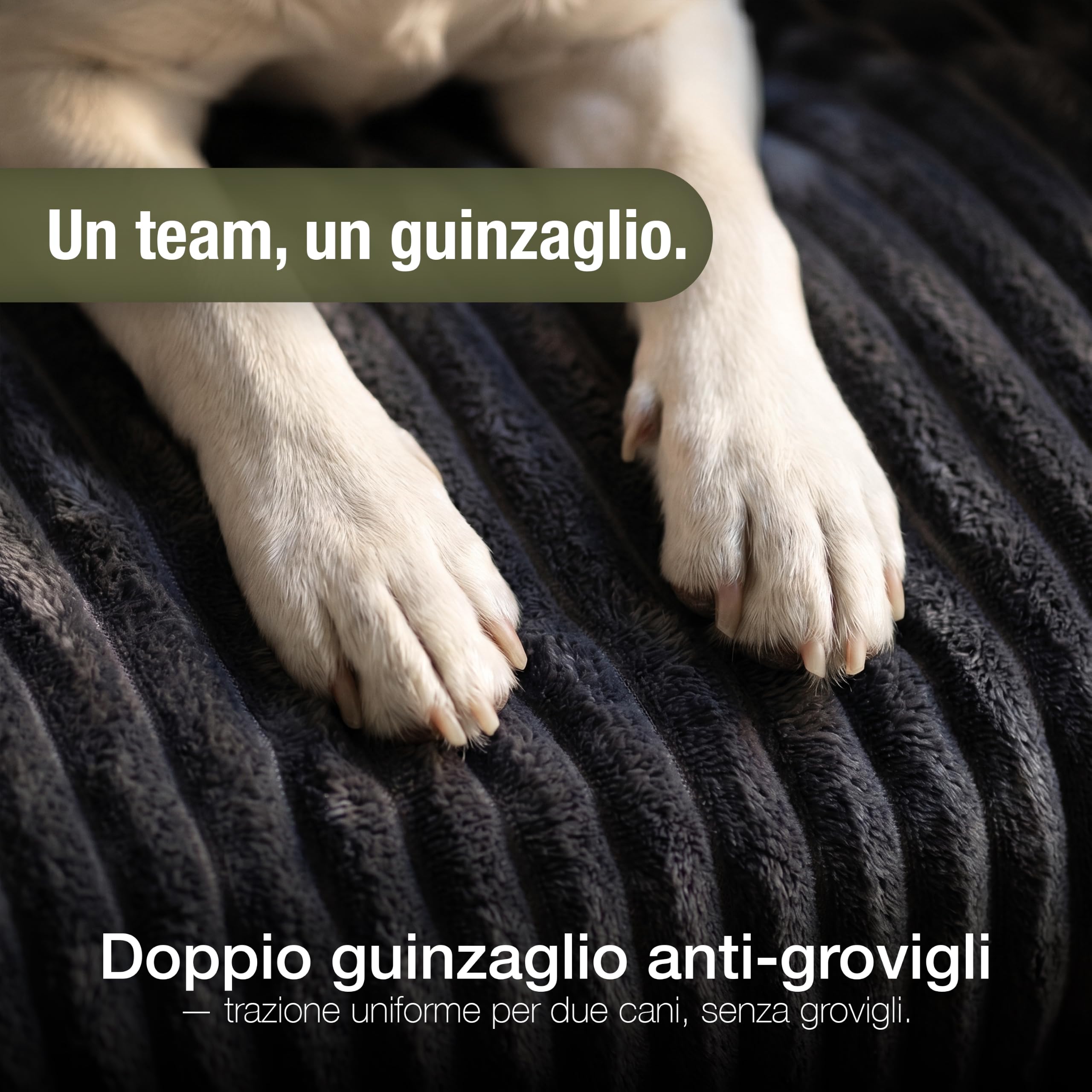 Cuccia Cane & Salvadivano – Velluto a, Antracite, M 102x85x12 cm