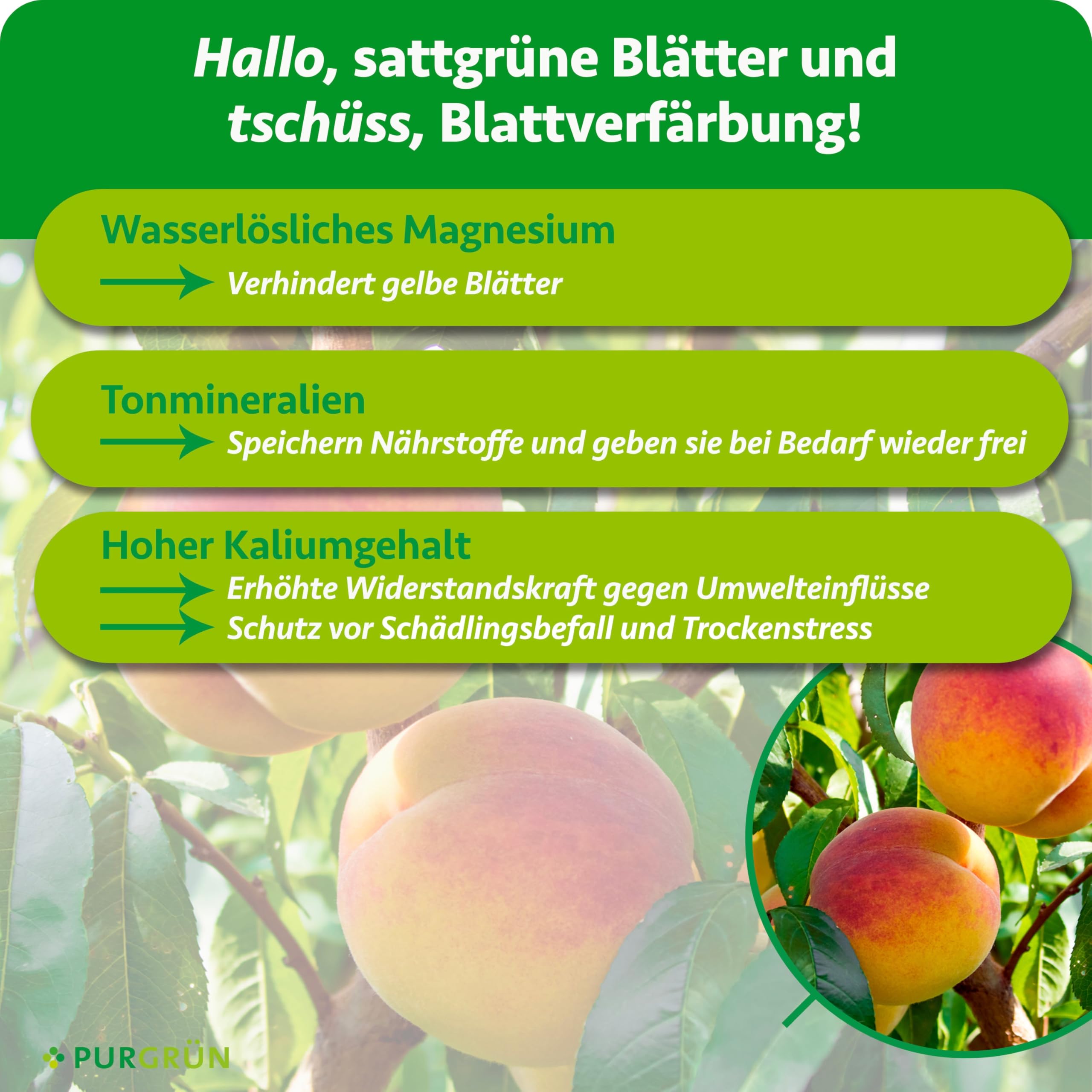 Bio-Pfirsichbaum-Dünger 1 kg – Organisch-mineralische Rezeptur – Feinkörniges Krümelgranulat – NPK 6+3+8 – Mit Magnesium für süße Pfirsiche – Verbessert die Bodenqualität – Chloridarm