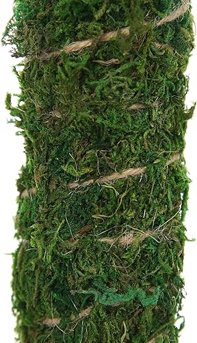 Miniatura 6 de Paquete de 2 postes de musgo de 13 pulgadas, poste de musgo flexible para plantas Monstera, postes de musgo para plantas trepadoras de interior,