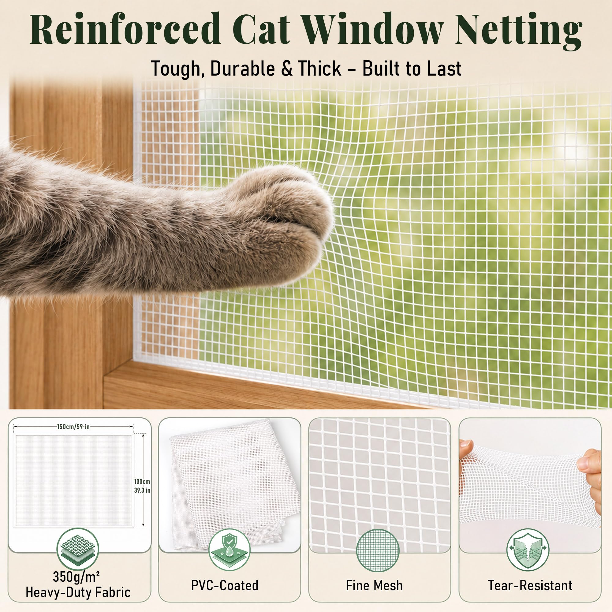 View 5