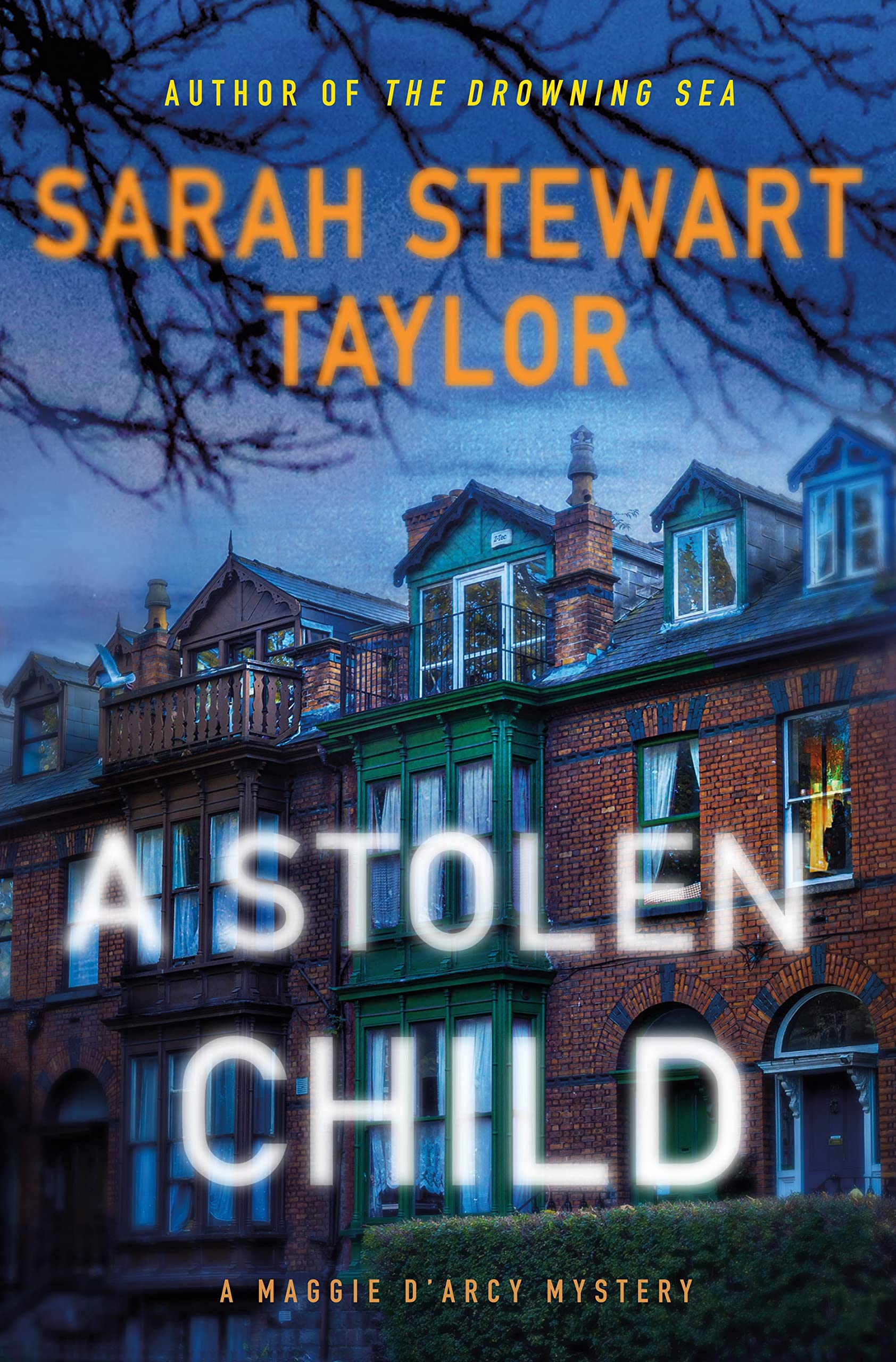 A Stolen Child: A Maggie D'arcy Mystery (Maggie D'arcy Mysteries Book 4)