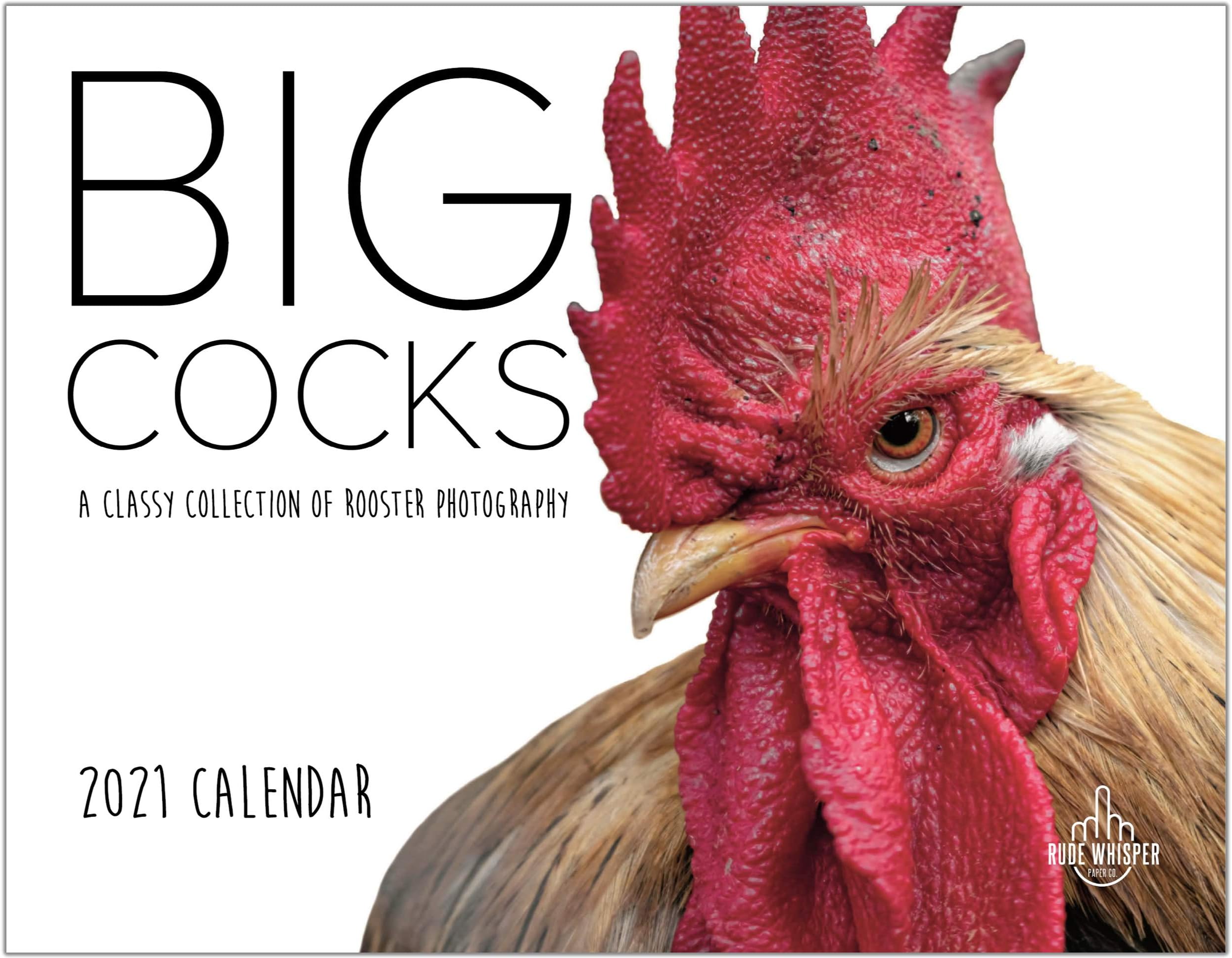 Big Cocks 2019 Wall Calendar