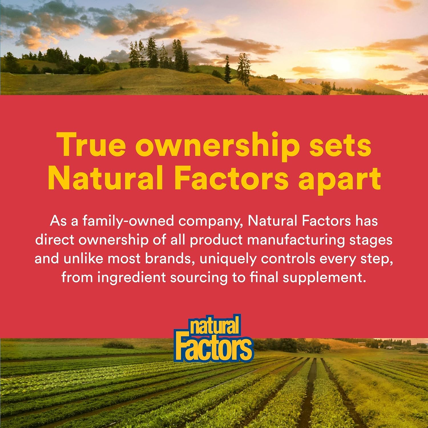 Natural Factors - Citrus Bioflavonoids 650mg, Support for The Body's Use of Vitamin C, 90 Capsules - Image 7