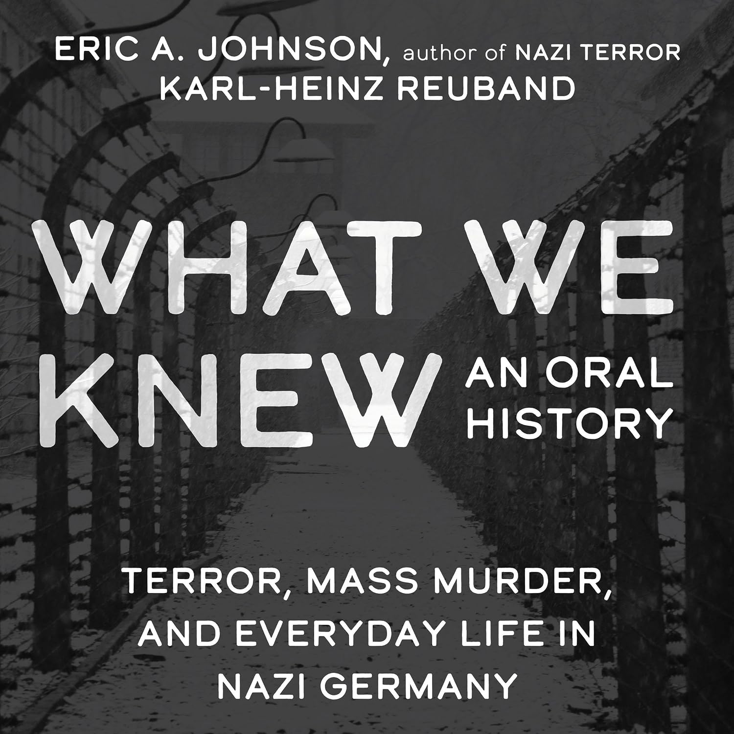Terror, Mass Murder, and Everyday Life in Nazi Germany