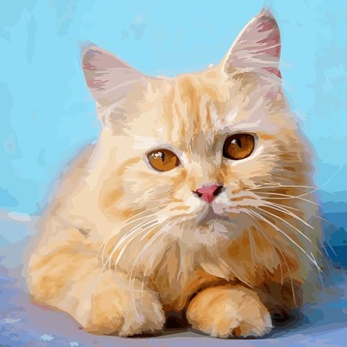 Oil Painting by Wonder Color - Photo by Number